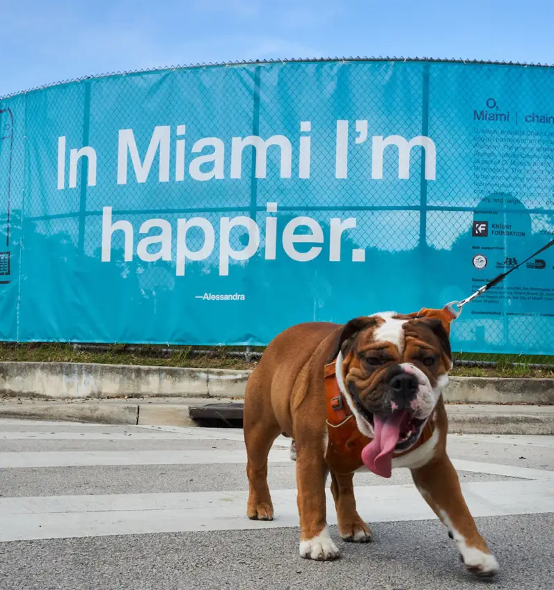 Miami invites its people to write the city into the public square
